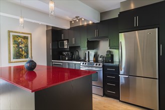 Black melamine cabinets and island with red quartz countertop in kitchen inside modern home