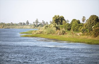 Riparian Landscape on the Nile