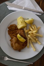 Wiener Schnitzel with parsley potatoes and french fries