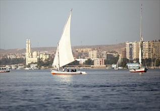 Feluccas or traditional sailing boats on the Nile
