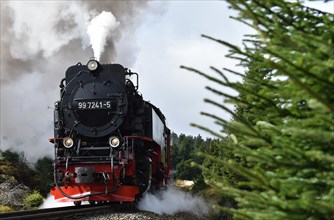 Steam locomotive of the Harz narrow-gauge railway on its way to the Brocken