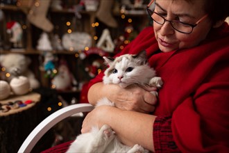 Grandmother is sitting on a rocking chair with a cat against the backdrop of Christmas arrangement. In studio