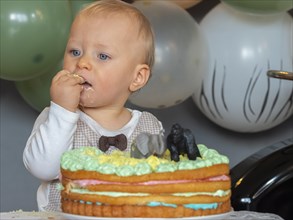 One-year-old boy sits in front of his birthday cake on his first birthday and tries to see if it tastes good