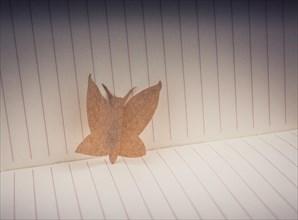 Paper is cut out in shape of a butterfly