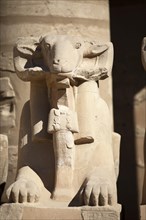 Ram statue in Karnak Temple