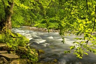 The river Wutach