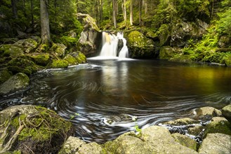 The Schwarzenbaechle stream pours in a waterfall into the Kroi-Woog-Gumpen pond