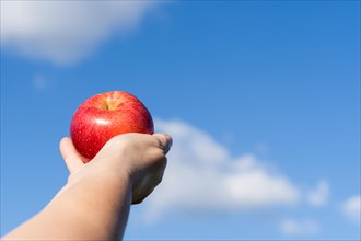 Womans hands holding an apple with a cloudy sky in the background