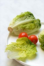 Baby lettuce and tomatoes on plate