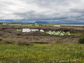 Tent camp at Myvatn