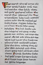 The facsimile from the manuscript of Heliand