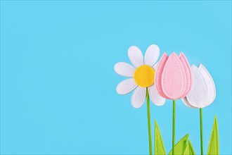 Felt tulip and daisy spring flowers on side of blue background with copy space