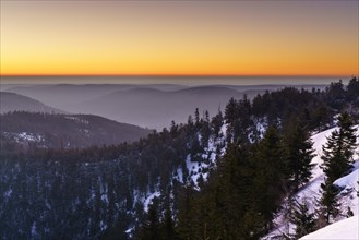 Morning atmosphere on the Hornisgrinde in winter