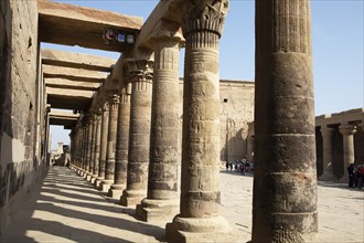 Ancient columns in the temple complex of Philae