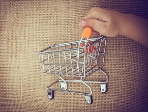 Shopping cart in hand on canvas background