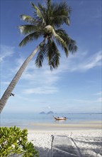 Palm trees on Hao Laem beach