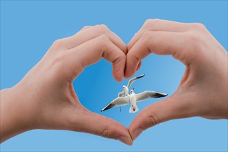 Seagulls are seen behind a heart shaped hand