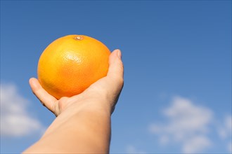 Womans hands holding a grapefruit with a cloudy sky in the background
