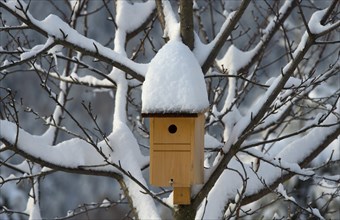 Nesting box for tits with snow bonnet in winter