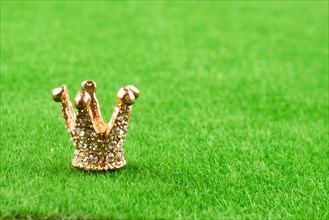 Golden color crown model with pearls on grass