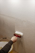 Painting the interior wall
