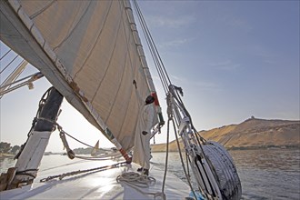 Egyptian man adjusts the sail of a felucca on the Nile