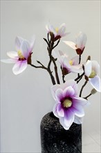 Artificial Magnolia