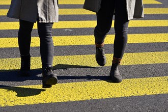 Zebra crossing pedestrians