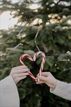 Candy cane heart in front of fir tree