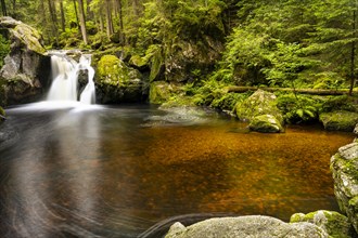 The Schwarzenbaechle stream pours in a waterfall into the Kroi-Woog-Gumpen pond