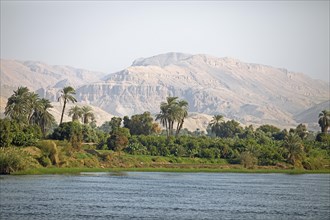 Landscape on the banks of the Nile