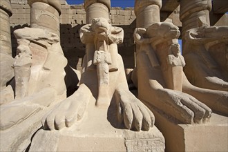 Ram statues in the Karnak Temple