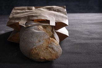 Ciabatta Bread in Paper Bag