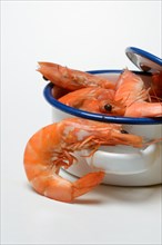 Cooked prawns in pot