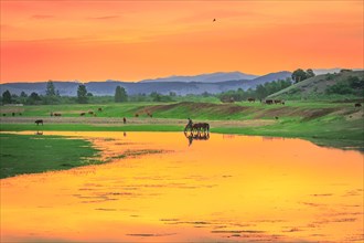Morning colour on the banks of the Selenge River. Bulgan Province