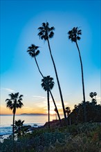 A view of Laguna Beach sunset at the beach. Laguna Beach is located in southern California