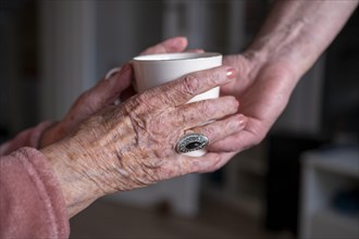 Hands of a senior citizen
