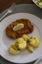 Wiener Schnitzel with parsley potatoes and french fries
