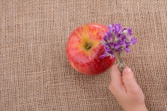Hand holding a flower bouquet beside an apple
