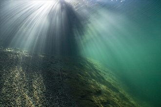 Sunbeams in the Fernsteinsee