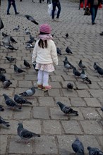 Little girl amid grey pigeons live in large groups in urban environment