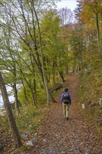 Hiking around Lake Molveno through autumnal forest