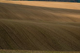 Beautiful harsh landscape of plowed Moravian fields in the autumn season. Czech republic