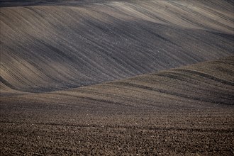 Beautiful harsh landscape of plowed Moravian fields in the autumn season. Czech republic