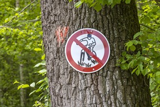 Cycling prohibited. Prohibition sign for mountain biking in a wooded area near Uhingen