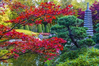 Japanese Garden in the Rhine Meadows