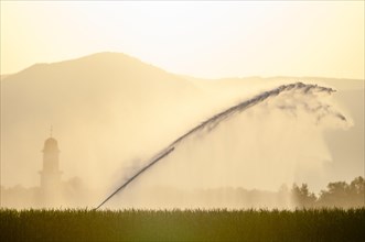Irrigation of a maize field in dry weather near a village. Alsace