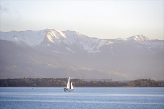 Sailboat on Lake Constance in the evening light