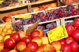 Apples and fruit with price tag at a market stall