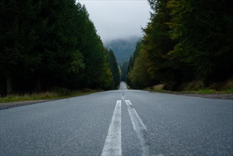A straight section of an asphalt road in the mountains through the forest. Polish mountains